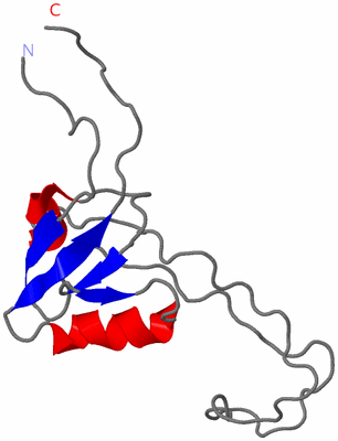 Image NMR Structure - model 1