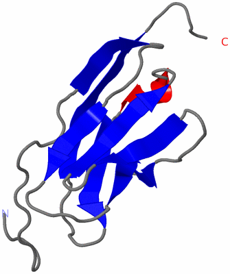 Image NMR Structure - model 1