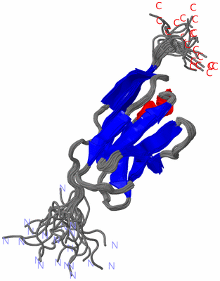 Image NMR Structure - all models