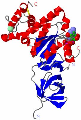 Image Asym./Biol. Unit