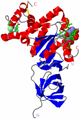 Image Asym./Biol. Unit - sites