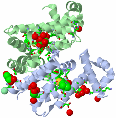 Image Asym./Biol. Unit - sites