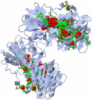 Image Biol. Unit 1 - sites