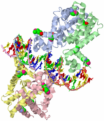 Image Asym./Biol. Unit