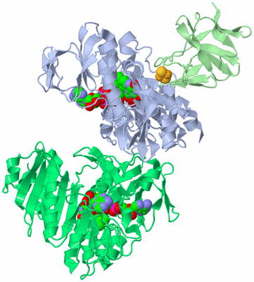 Image Asym./Biol. Unit
