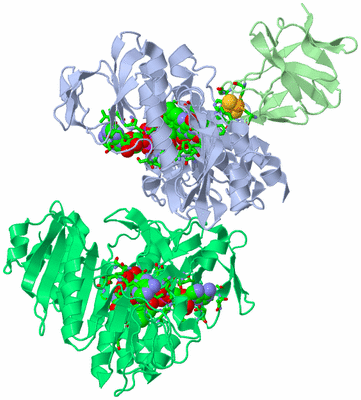 Image Asym./Biol. Unit - sites