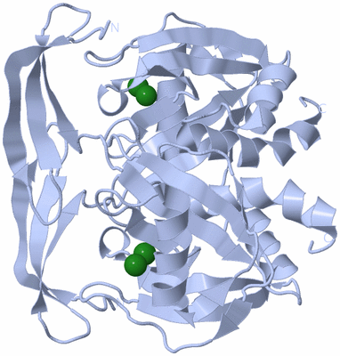 Image Biological Unit 1