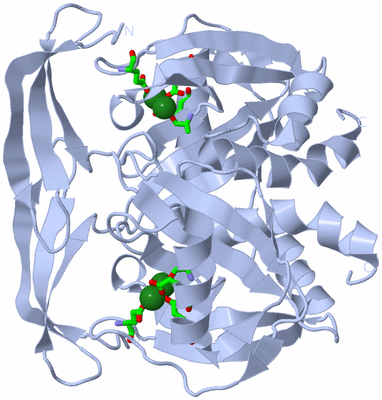 Image Biol. Unit 1 - sites