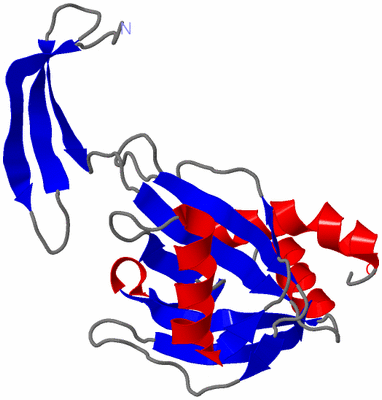 Image Asymmetric Unit