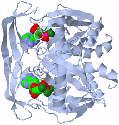 Image Biological Unit 1