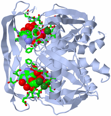 Image Biol. Unit 1 - sites