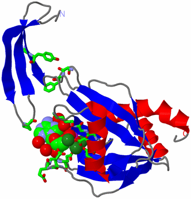 Image Asym. Unit - sites