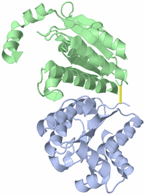 Image Asym./Biol. Unit