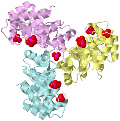 Image Biological Unit 2