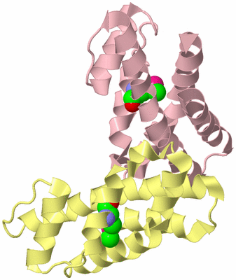 Image Biological Unit 2