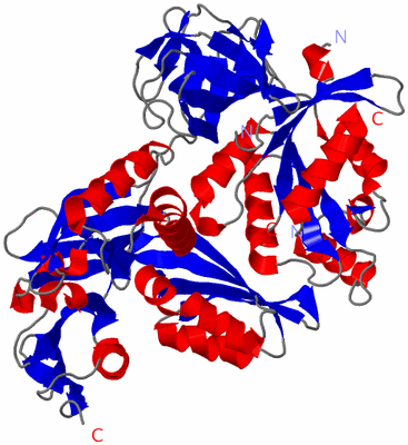 Image Asym./Biol. Unit