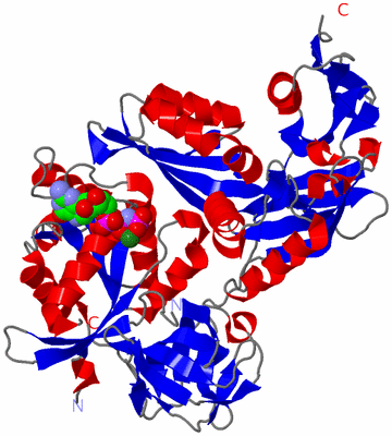 Image Asym./Biol. Unit