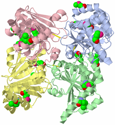 Image Asym./Biol. Unit