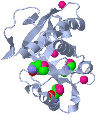 Image Biological Unit 1