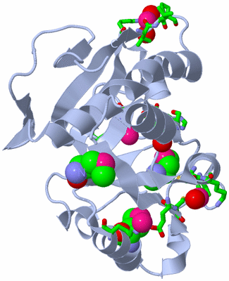 Image Biol. Unit 1 - sites