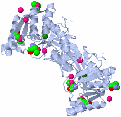 Image Biological Unit 2