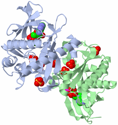 Image Biological Unit 2