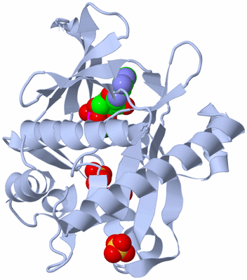 Image Biological Unit 3