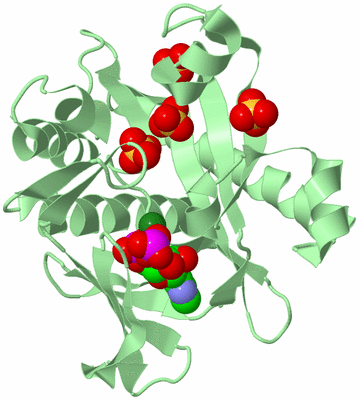 Image Biological Unit 4