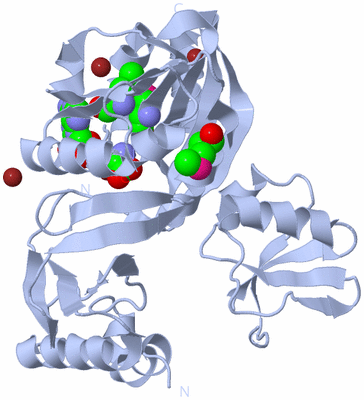 Image Biological Unit 1