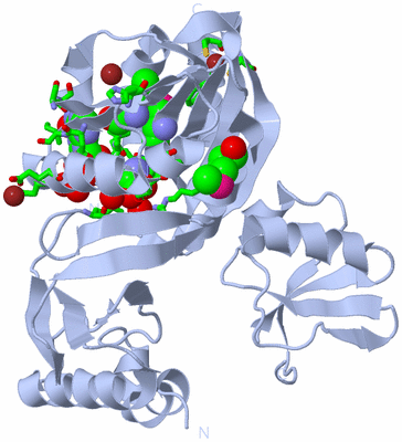 Image Biol. Unit 1 - sites