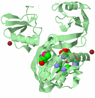 Image Biological Unit 2