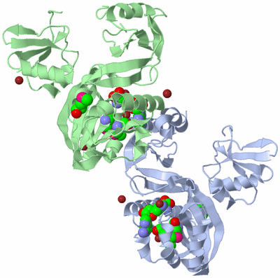 Image Biological Unit 3