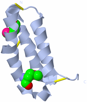 Image Biological Unit 2