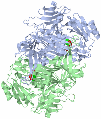 Image Asym./Biol. Unit