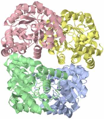 Image Asym./Biol. Unit