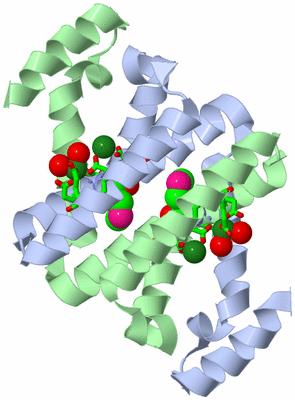 Image Asym./Biol. Unit - sites