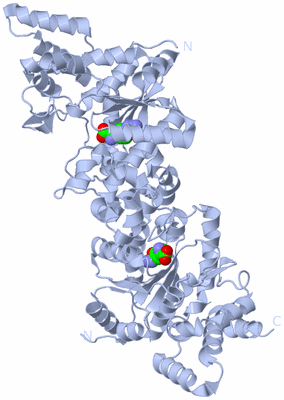 Image Biological Unit 1