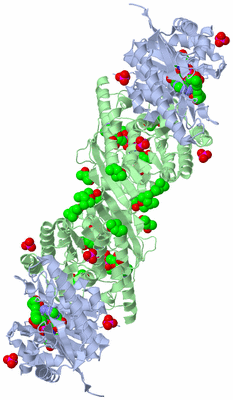 Image Biological Unit 2