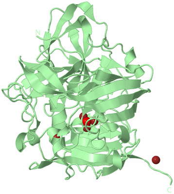 Image Biological Unit 2