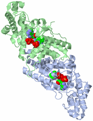 Image Biological Unit 1