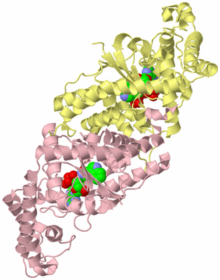 Image Biological Unit 2