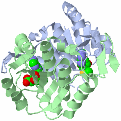 Image Asym./Biol. Unit