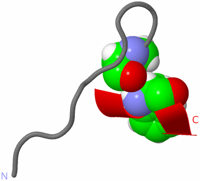 Image NMR Structure - model 1