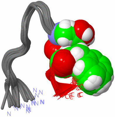 Image NMR Structure - all models