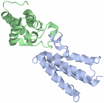 Image Biological Unit 3