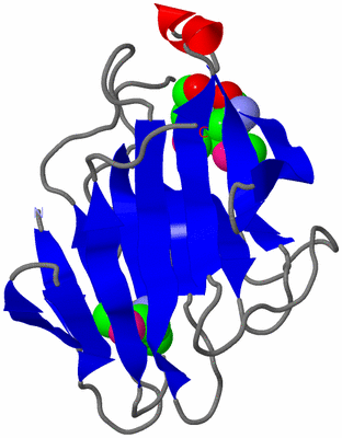 Image Asymmetric Unit