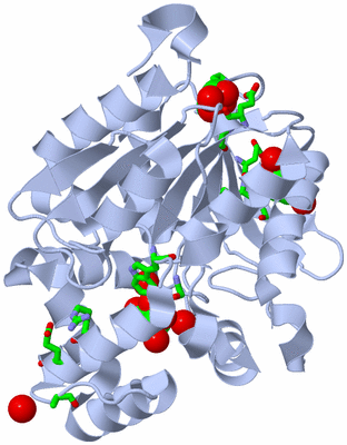 Image Biol. Unit 1 - sites