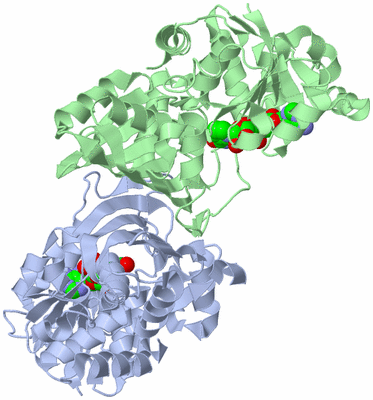 Image Asym./Biol. Unit