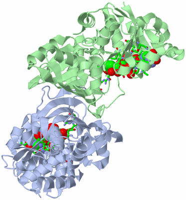 Image Asym./Biol. Unit - sites