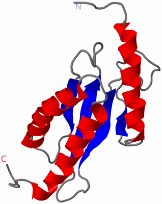 Image NMR Structure - model 1